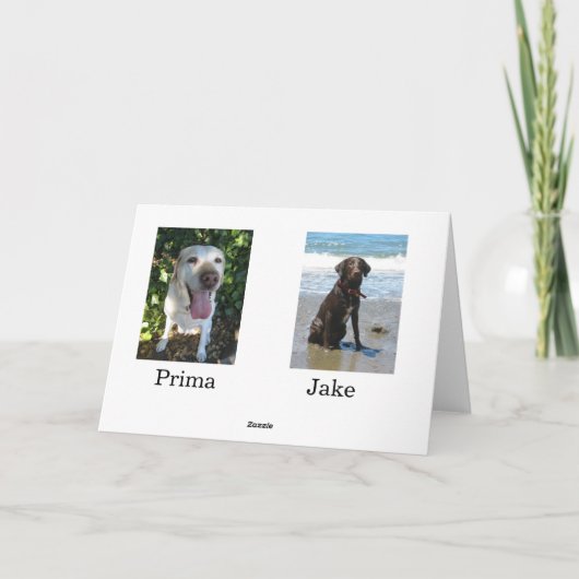 Carte Joyeux anniversaire Prima et Jake (Dos)