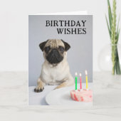 Carte Joyeux Anniversaire Pug (Devant)