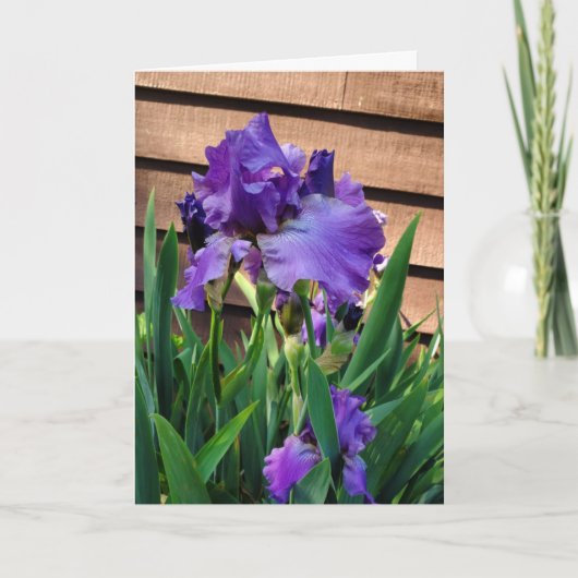 Carte Joyeux anniversaire | Purple Iris (Devant)