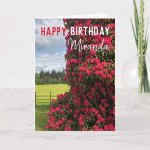 Carte Joyeux anniversaire - Rhododendron et vue Pittores