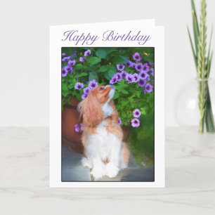 Carte Joyeux Anniversaire Roi Charles Fleurs Odeur Chien