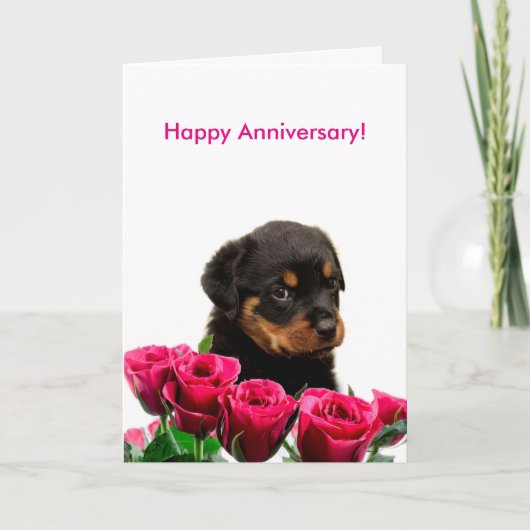 Carte Joyeux anniversaire Rose Rottweiler Puppy (Devant)
