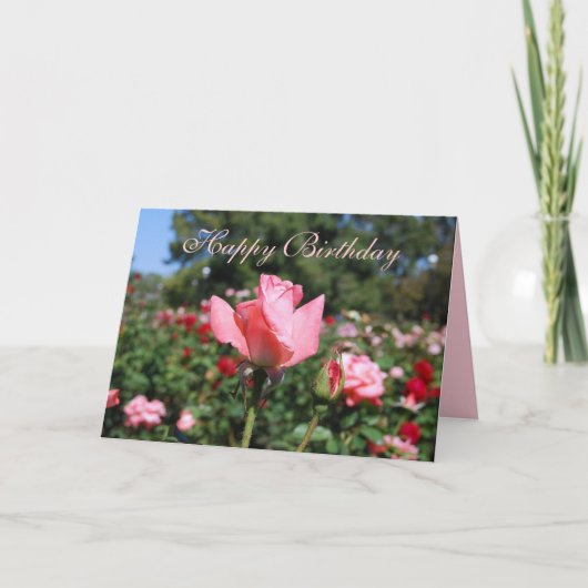 Carte Joyeux anniversaire Roses roses roses dans le jard (Devant)