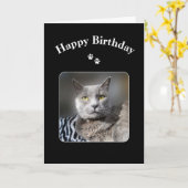 Carte Joyeux Anniversaire Russe Bleu Chat (Fleur jaune)