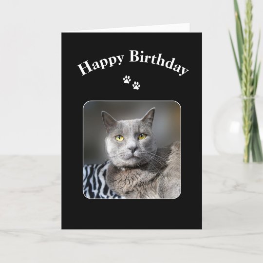 Carte Joyeux Anniversaire Russe Bleu Chat Zazzle Be