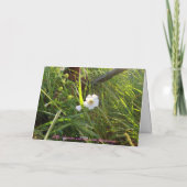 Carte Joyeux anniversaire ! - Salutation (Dos)