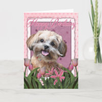 Joyeux anniversaire - ShihPoo - Maggie