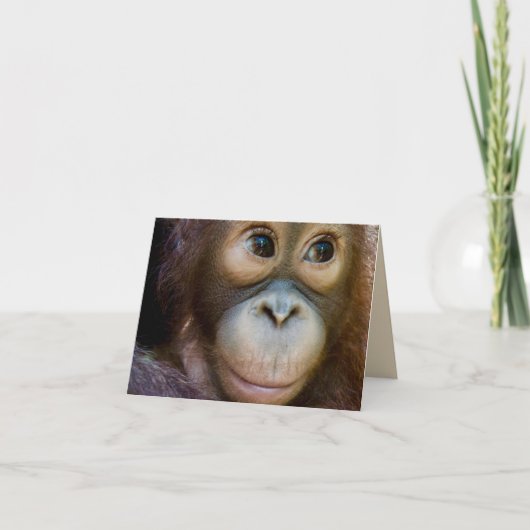Carte Joyeux Anniversaire Singe ! (Devant)
