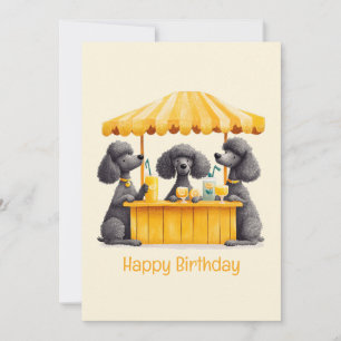 Carte Joyeux Anniversaire Standard Poodle Chiens Lemonad