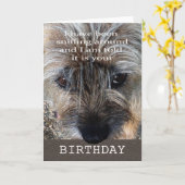 Carte Joyeux anniversaire, terrier de frontière (Fleur jaune)