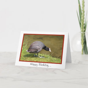 Carte Joyeux Anniversaire-Ton Vieux Pied
