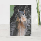 Carte Joyeux Anniversaire Tu Grosse Nut (Devant)