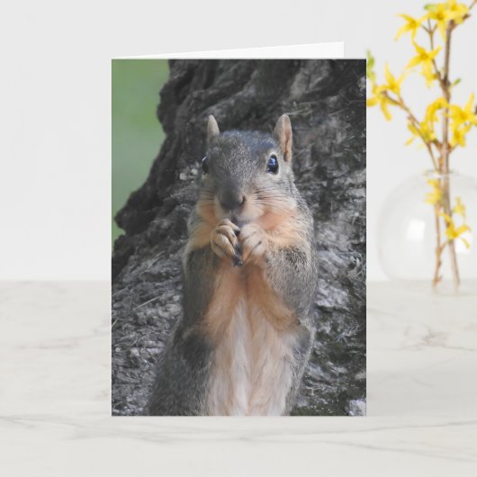 Carte Joyeux Anniversaire Tu Grosse Nut (Fleur jaune)