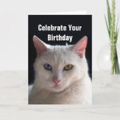 Carte Joyeux Anniversaire turc Angora Chat (Devant)