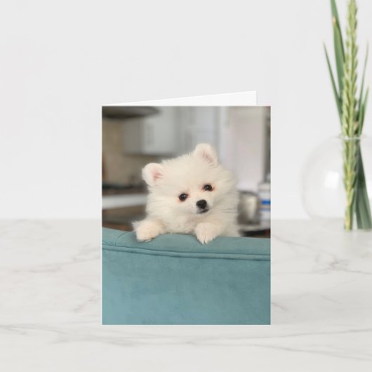 Carte Joyeux anniversaire/ Un critère adorable à un autr (Devant)