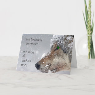 1 carte de vœux de Noël et 1 carte de vœux 1 calendrier Wolfszauber Calendrier de table 2022 Format A5 Motif loup et loups Coffret cadeau Contenu 3 pièces au total 
