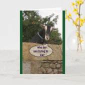 Carte Joyeux Anniversaire, Vieux Chèvre ! -Carte (Fleur jaune)