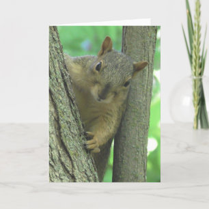 Carte Joyeux Anniversaire Vous Nut Funny Squirrel Card