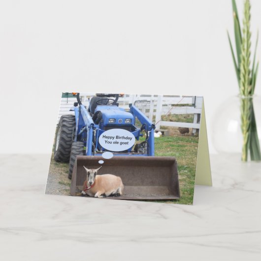 Carte Joyeux Anniversaire Vous Vieux Chèvre C'est votre (Devant)