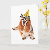 Carte Joyeux anniversaire vous vieux chien (Fleur jaune)