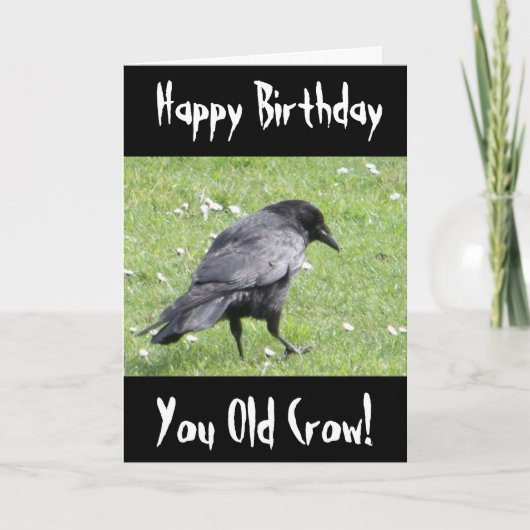 Carte Joyeux Anniversaire Vous Vieux Corbeau Insulte Car (Devant)