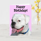 Carte Joyeux anniversaire White Boxer (Fleur jaune)