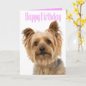 Carte Joyeux Anniversaire Yorkshire Terrier Chien Chien  (Fleur jaune)