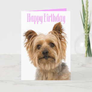 Carte Joyeux Anniversaire Yorkshire Terrier Chien Chien 