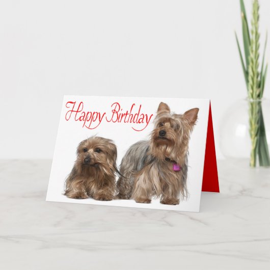 Carte Joyeux anniversaire Yorkshire Terrier Chien Chien (Devant)