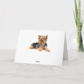 Carte Joyeux anniversaire Yorkshire Terrier Chien Chien (Dos)
