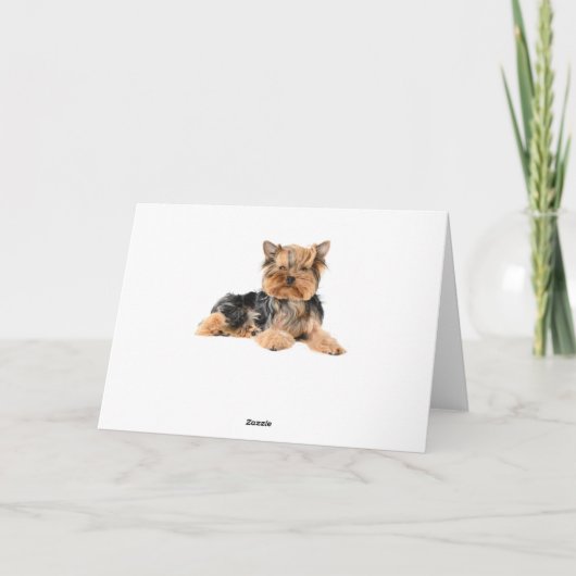 Carte Joyeux anniversaire Yorkshire Terrier Chien Chien (Dos)