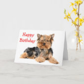 Carte Joyeux anniversaire Yorkshire Terrier Chien Chien (Fleur jaune)