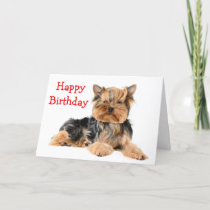Carte Joyeux anniversaire Yorkshire Terrier Chien Chien 