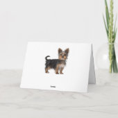 Carte Joyeux anniversaire Yorkshire Terrier Chien chiot (Dos)