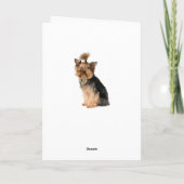 Carte Joyeux anniversaire Yorkshire Terrier Chien coquel (Dos)