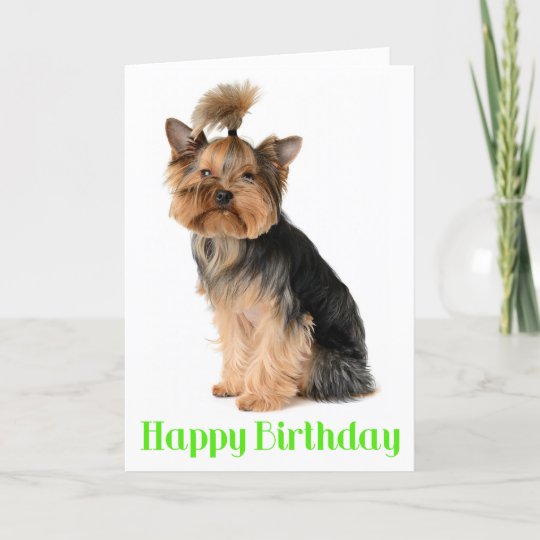 Carte Joyeux Anniversaire Yorkshire Terrier Chien Coquel Zazzle Be