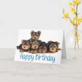 Carte Joyeux Anniversaire Yorkshire Terrier Chiot Bleu (Fleur jaune)
