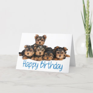 Carte Joyeux Anniversaire Yorkshire Terrier Chiot Bleu