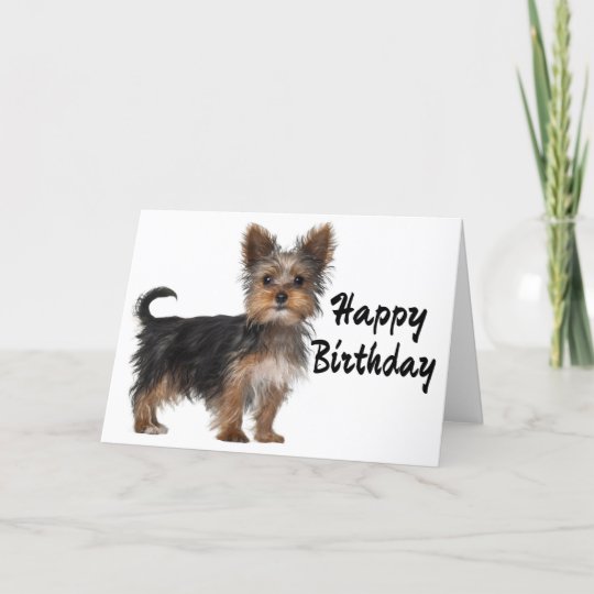 Carte Joyeux Anniversaire Yorkshire Terrier Puppy Dog Zazzle Be