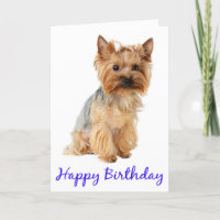 Joyeux Anniversaire Yorkshire Terrier Puppy Dog Ca