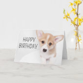 Carte Joyeux anniversaire | Young Corgi Puppy (Fleur jaune)