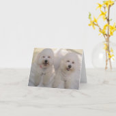 Carte Joyeux Bichons ! (Fleur jaune)