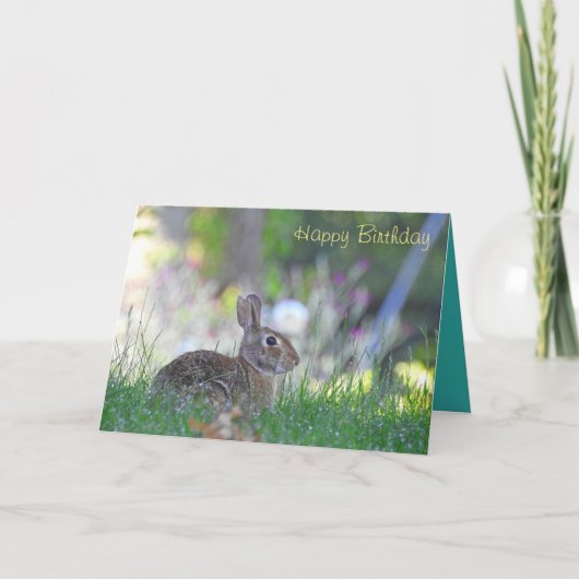 Carte Joyeux Bunny d'anniversaire (Devant)