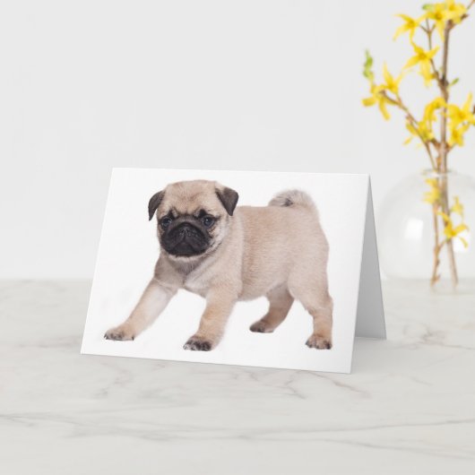 Carte Joyeux Carlin d'anniversaire Chien Chien Chien Chi (Fleur jaune)