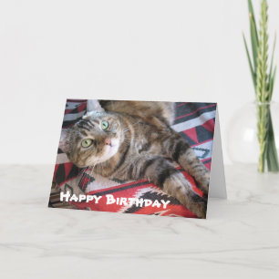Carte Joyeux chat d'anniversaire