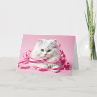 Joyeux Chat D'Anniversaire En Rubans Roses