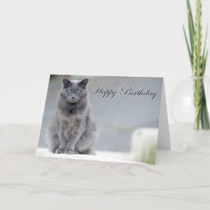 Carte Joyeux Chat gris d'anniversaire