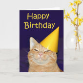 Carte Joyeux chat Joyeux anniversaire (Fleur jaune)