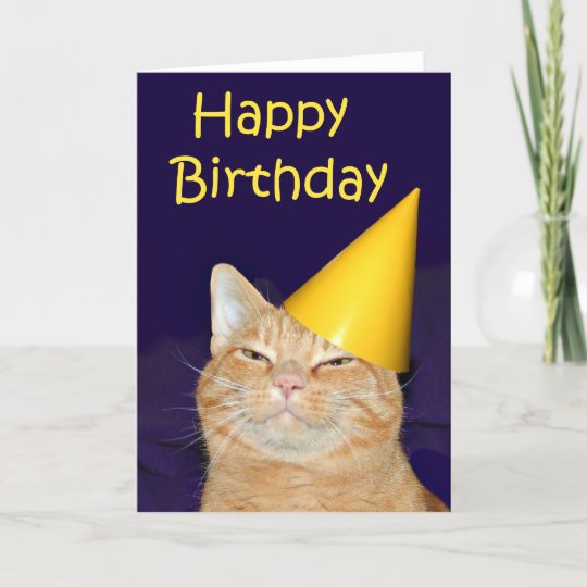 Carte Joyeux Chat Joyeux Anniversaire Zazzle Be