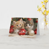 Carte Joyeux chatons de Noël et ornements (Fleur jaune)